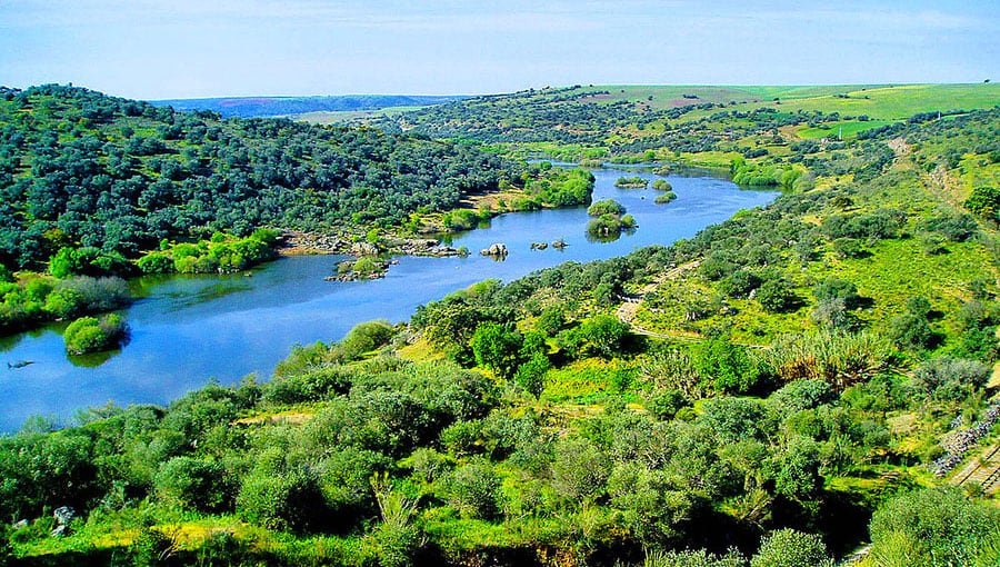 Aerial shot of Guadiana River,  , Spain
