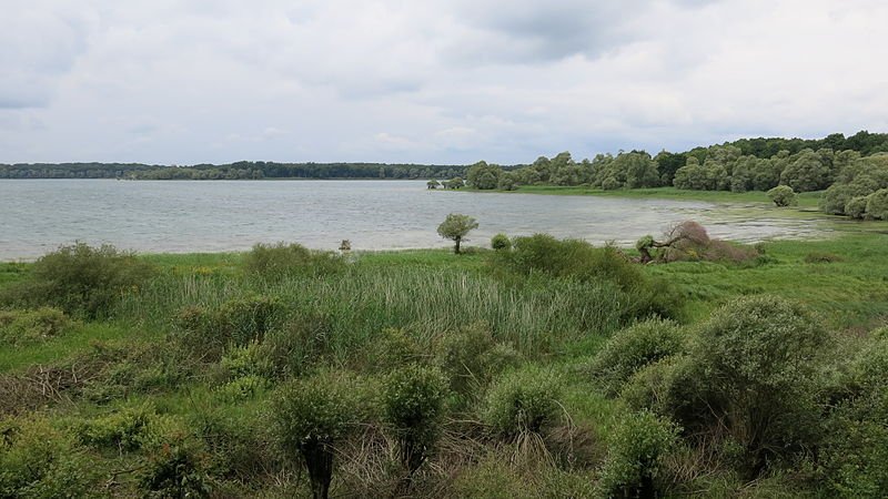 Gallery image of Le lac d’Orient, Mesnil Saint-Père France 