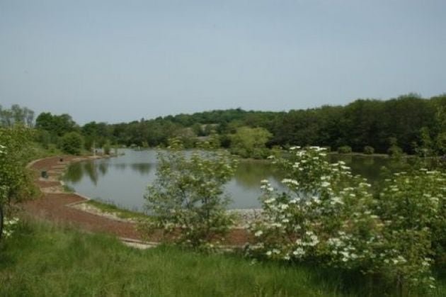 Gallery image of Kettles lake, Horsmonden UK