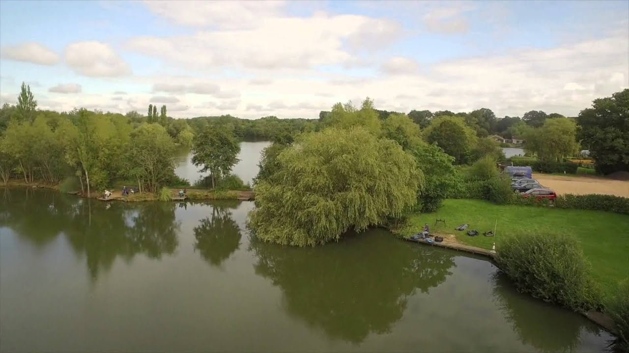 Carp Fishing - Willow Park Fishery