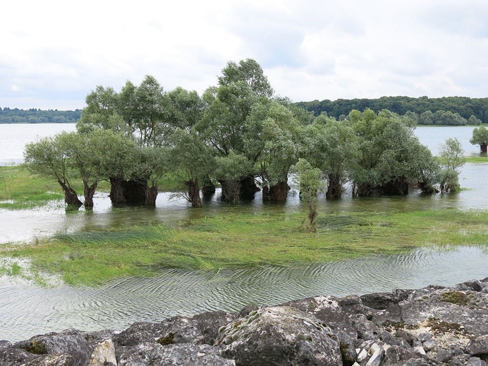 Gallery image of Lac Auzon-Temple, Brevonnes France 