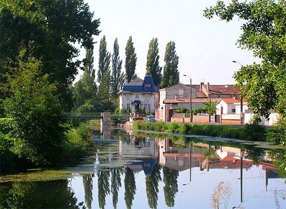 Aerial shot of La Sèvre Niortaise – Lot 5,  Magné, France