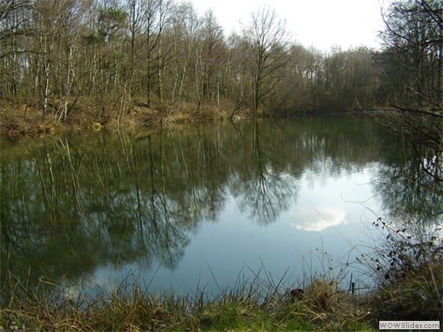 Gallery image of Blues Lake 1, Brecht Belgium 