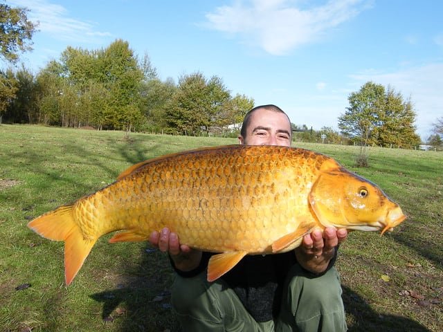 All you need to know about carp fishing on Lake Beaumont France