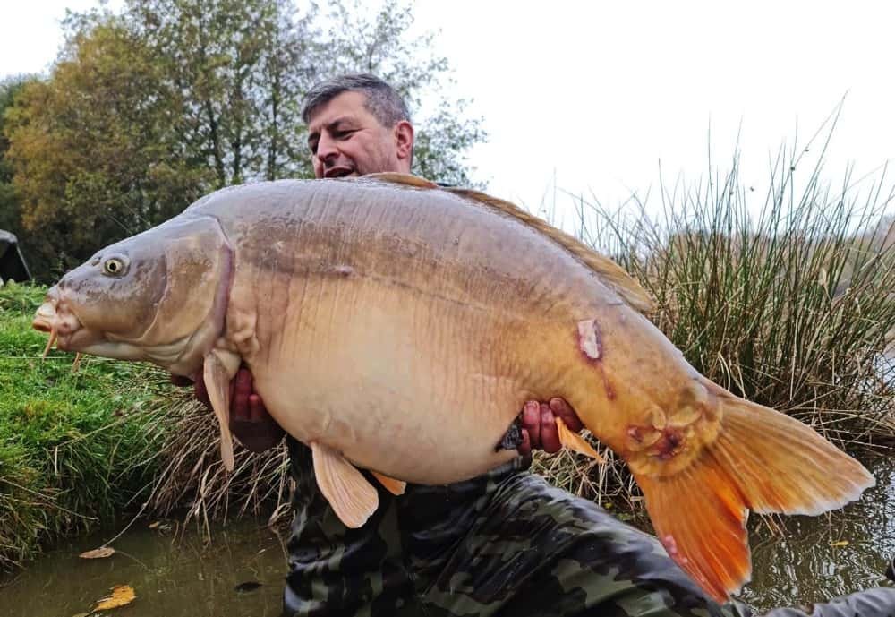 Carp catch shot from Ribiere