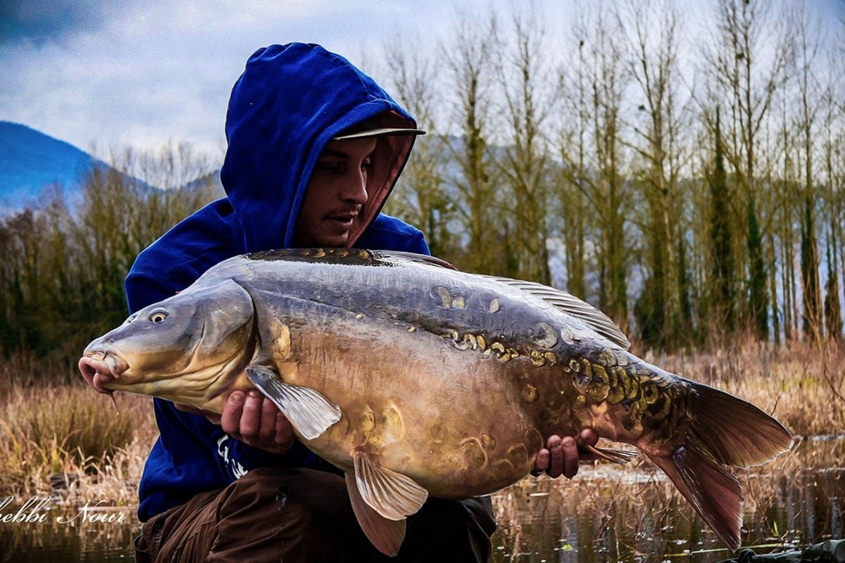 nour with large carp