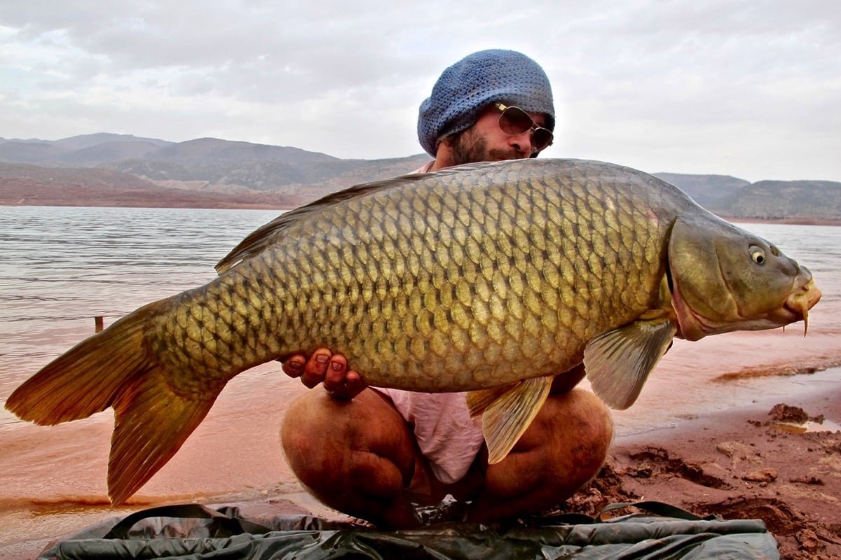 Sam holding big carp in Morocco