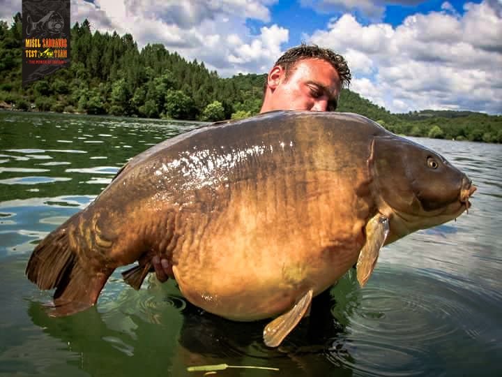 Angler holding carp caught at Carp Dream lake in Hungary, Europe