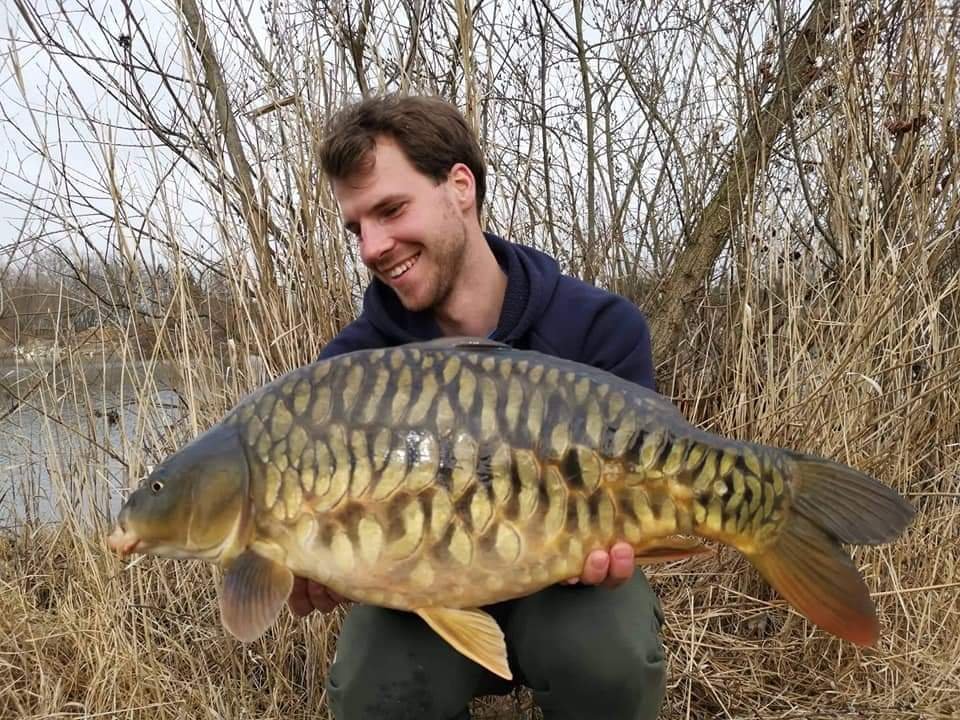 Angler holding carp caught at Kamesnica lake in Slovenia, Europe