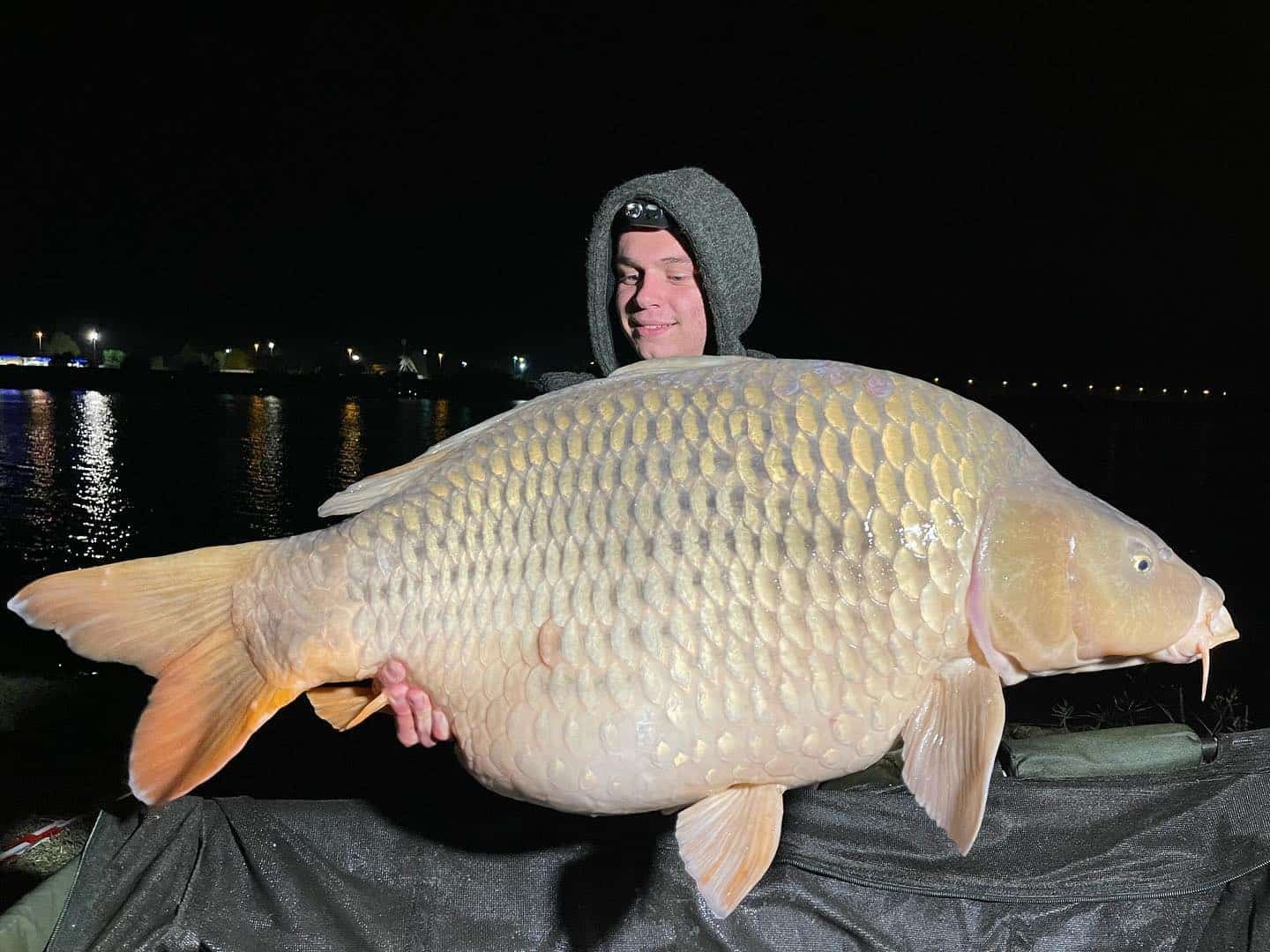 Angler holding carp caught on Lake Ontario in Slovenia, Europe