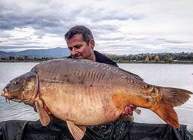 Angler holding carp caught on Lake Ontario in Slovenia, Europe
