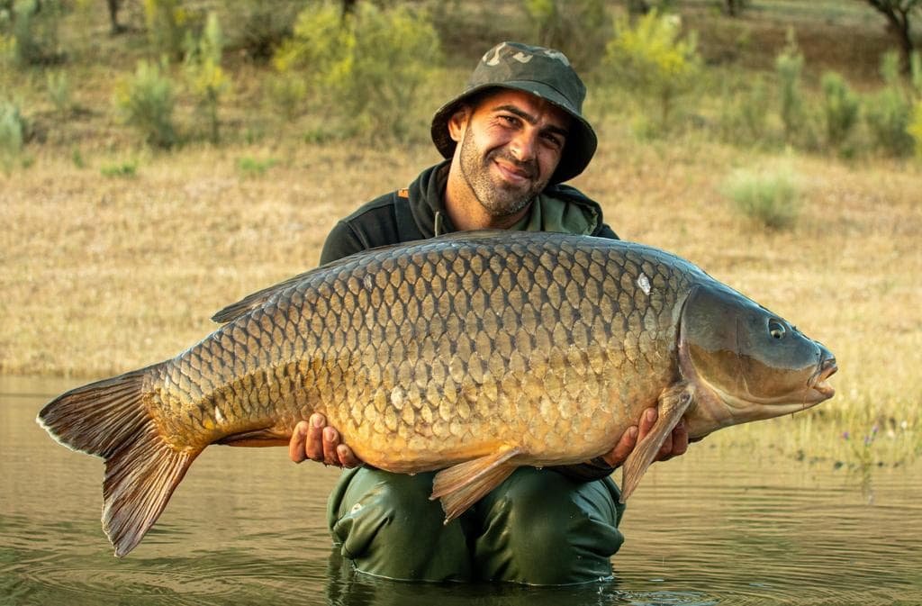 Angler holding carp caught on Orellana Lake in Spain, Europe