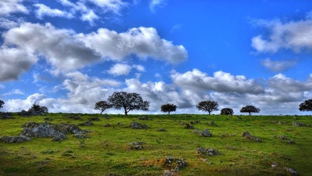 Sierra Brava landscape with trees and big blue sky