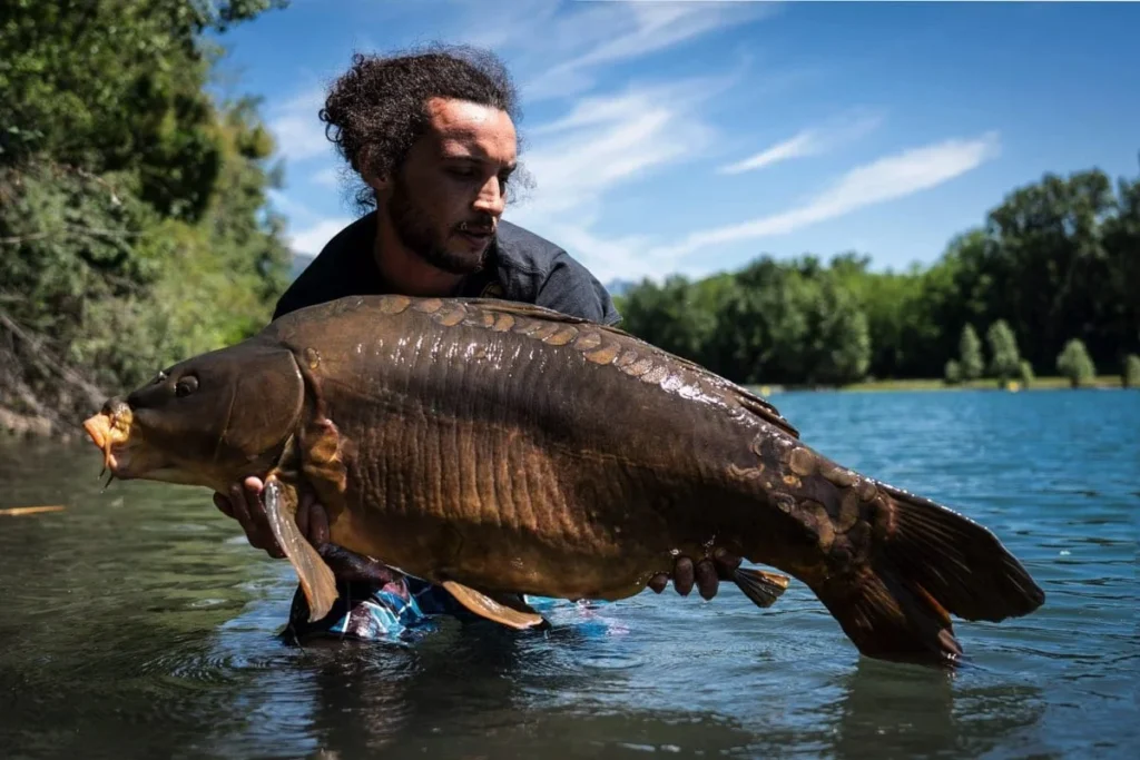Person holding large carp in clear lake.