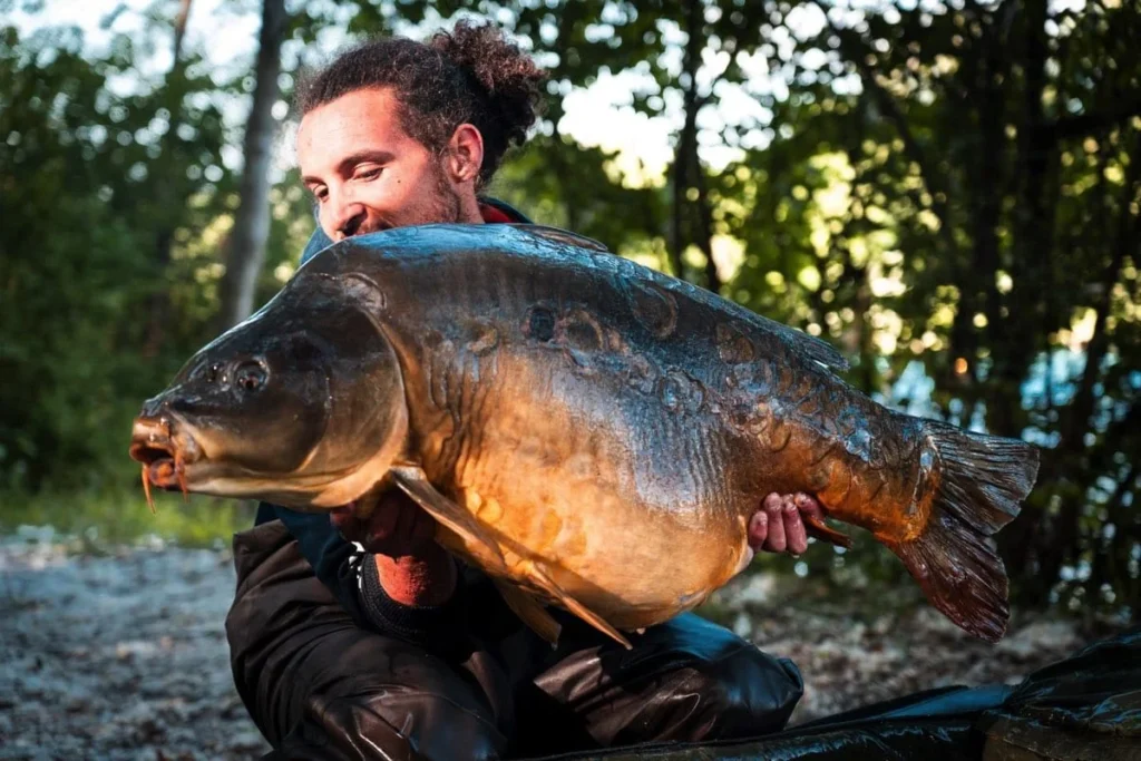 Person holding large carp fish in wooded area.