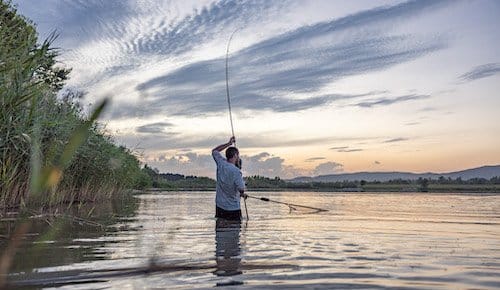 Man fly fishing at sunset in river