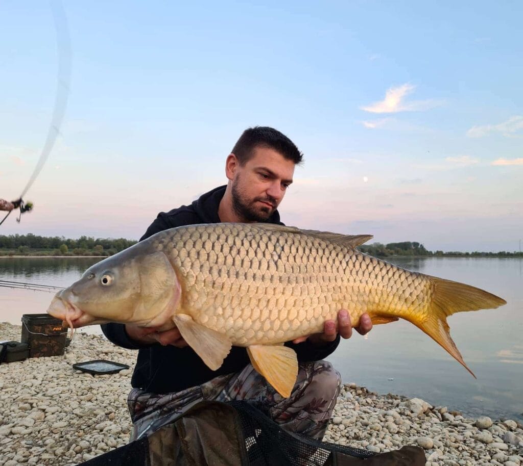 Man holding large carp by lakeside at sunset.