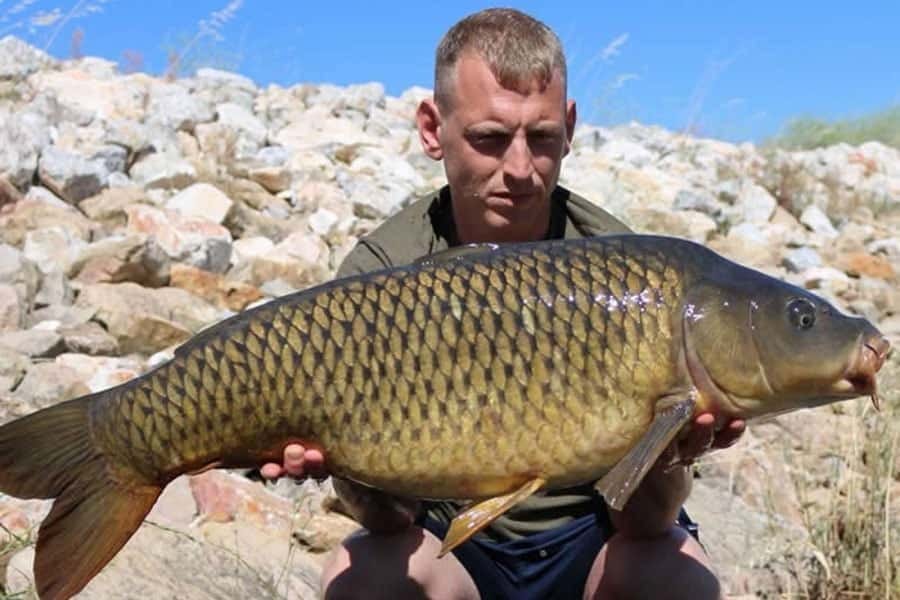 Man holding large common carp near rocks.