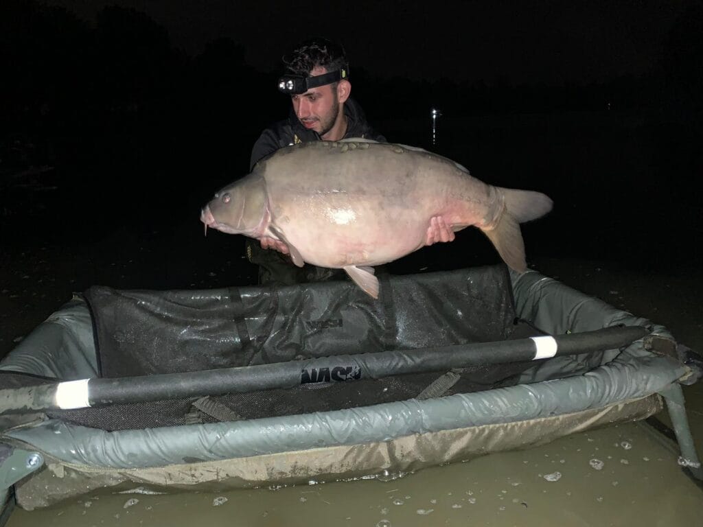 Night fishing with large carp catch