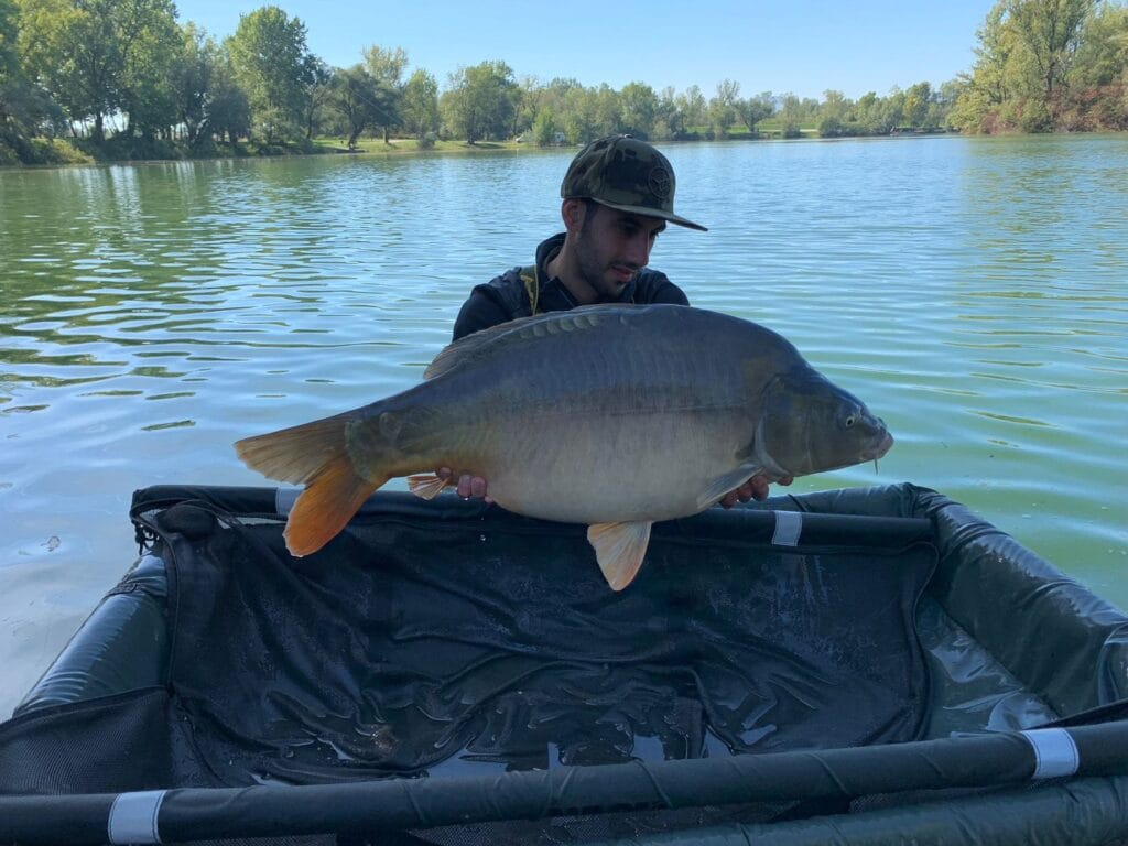 Angler holding large fish by a lake.