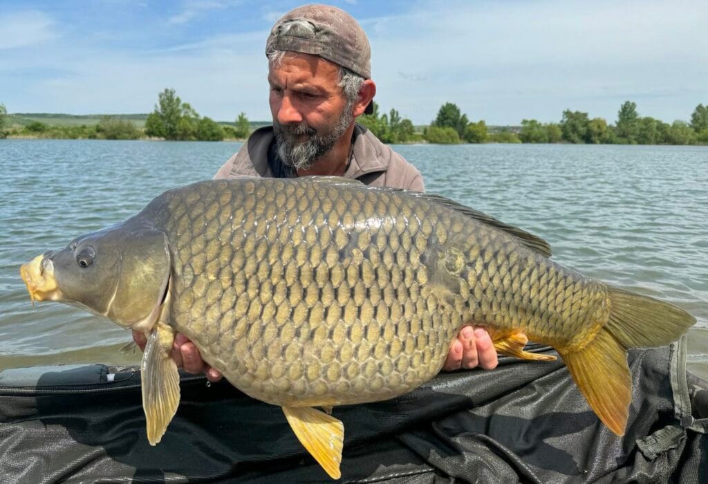 Man holding large carp by a lake.