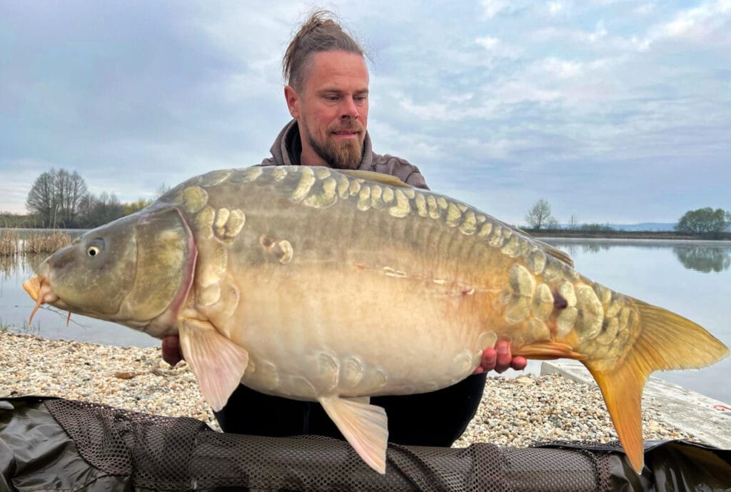 Person holding a large carp fish by the lake.
