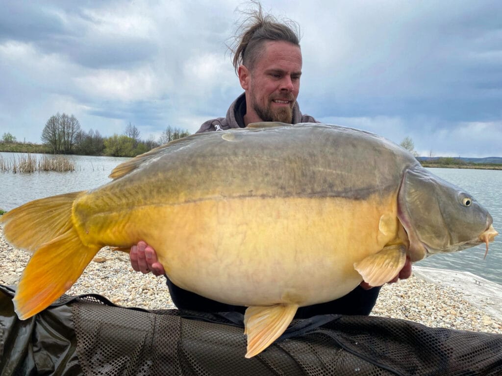 Person holding large carp by lake.