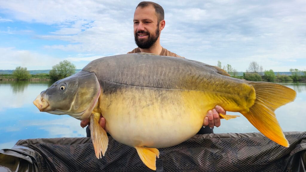 Man holding large carp by the lake.