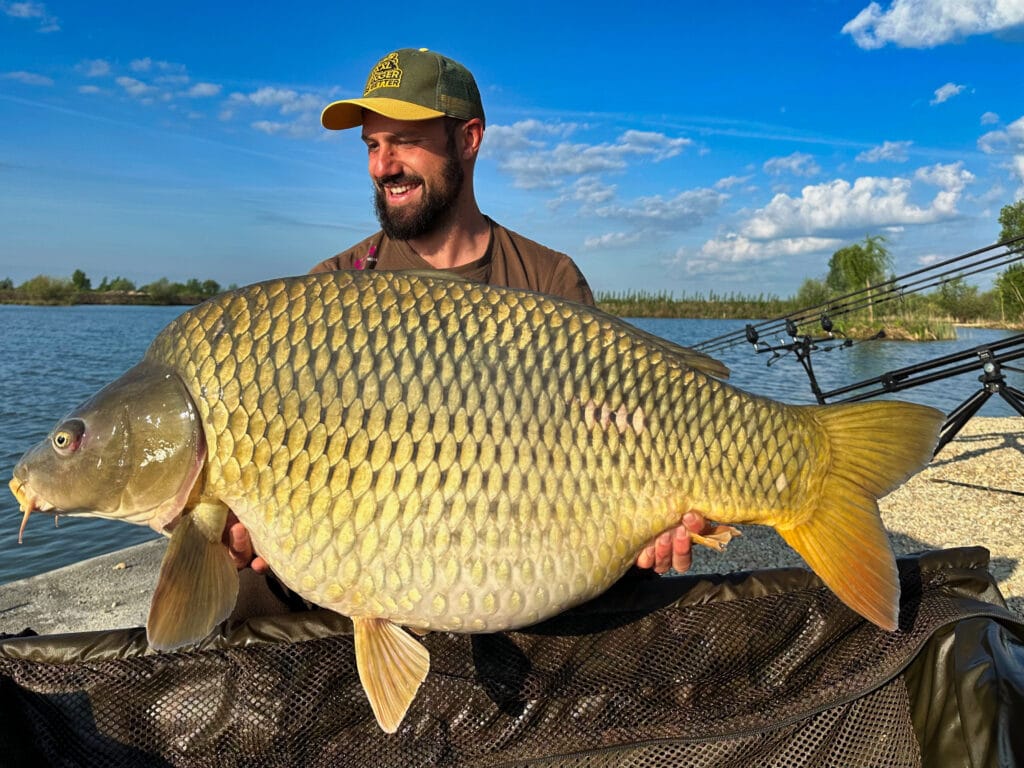 Angler holding large carp by lakeside.