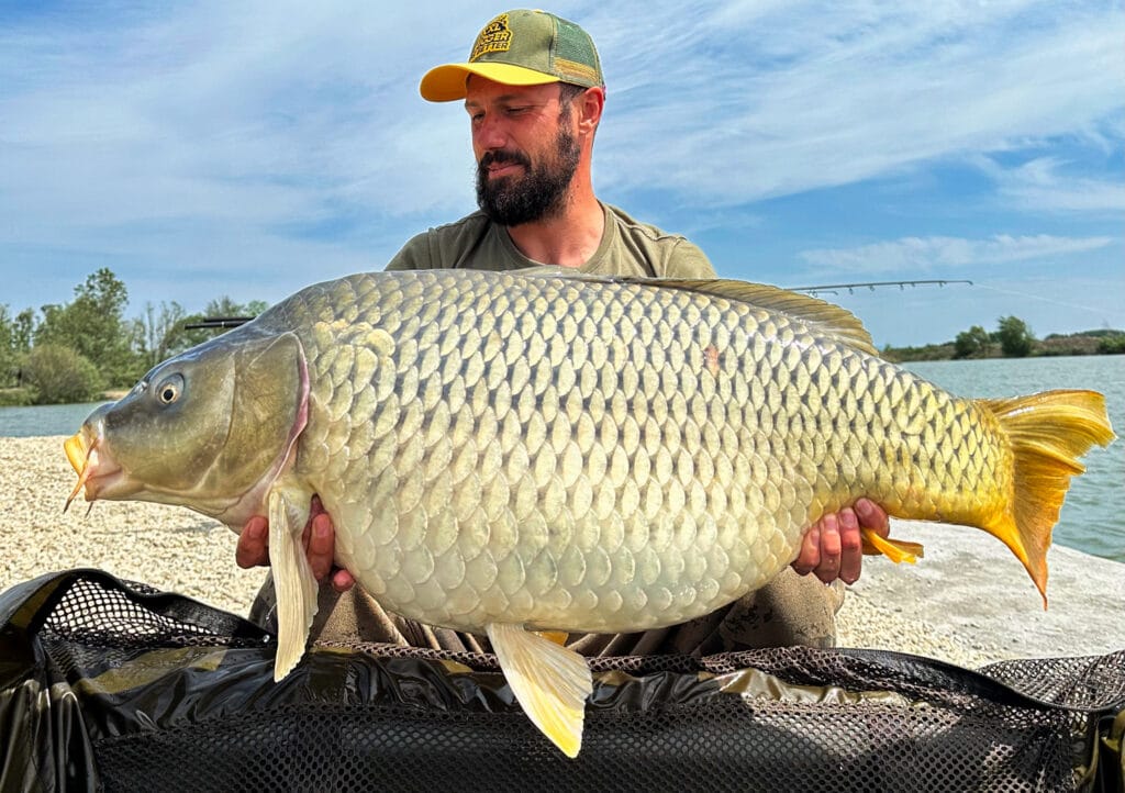 Man holding large carp by a lake.