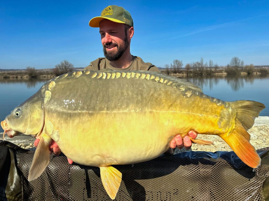 Man holding large carp by a lake.