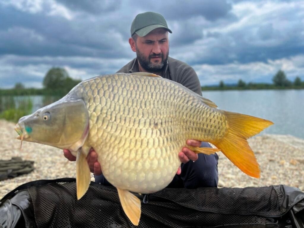 Man holding large carp by a lake.