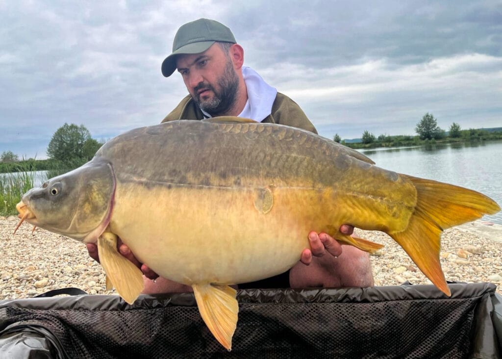 Angler holding large carp by lake.