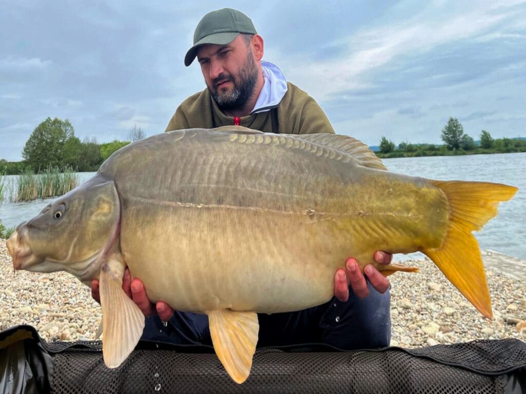 Man holding large carp by lake