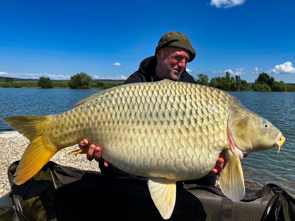 Person holding large fish by the lake.