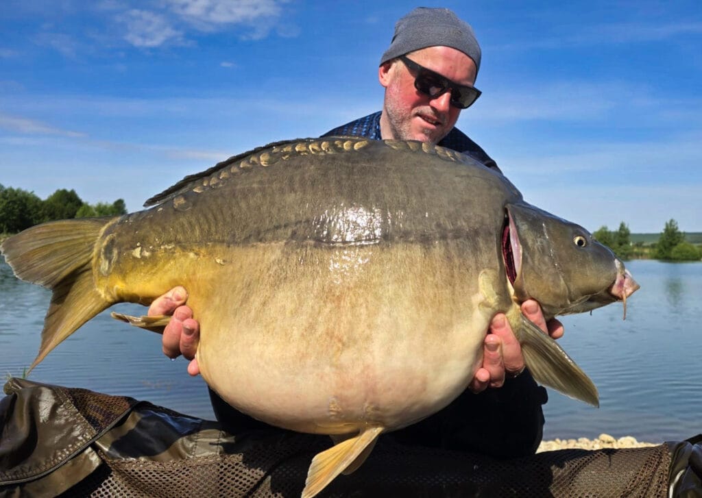 Angler holding large mirror carp by a lake.