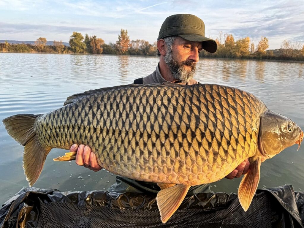 Angler holding large carp by lake