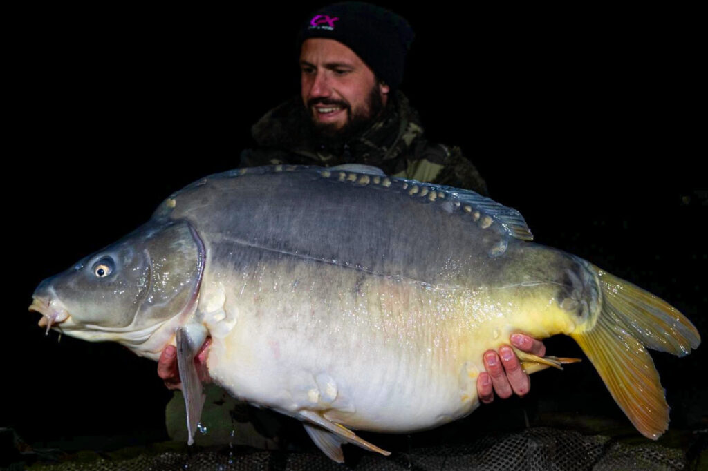 Angler holding large mirror carp at night.