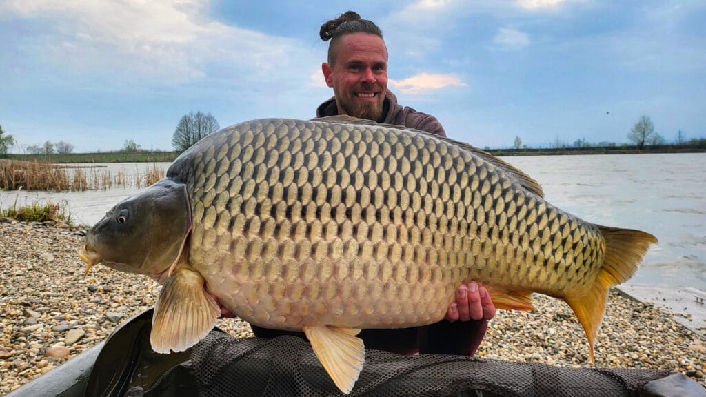 Man holding large carp by a lake.