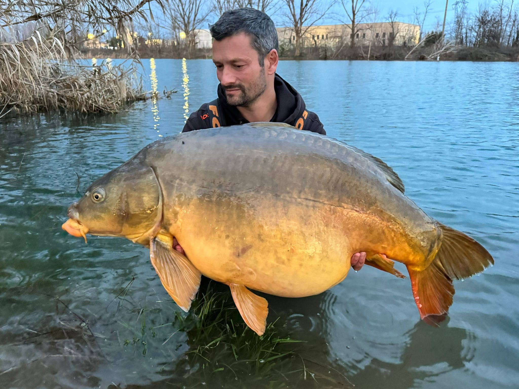 Man holding large carp by lake
