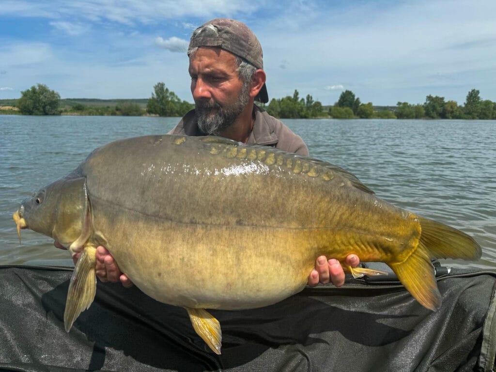Angler holding large carp by a lake.
