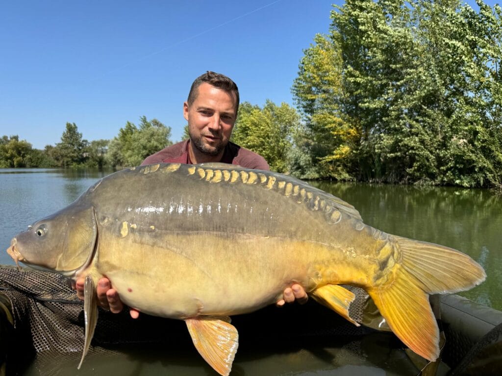 Man holding large carp beside lake under blue sky.