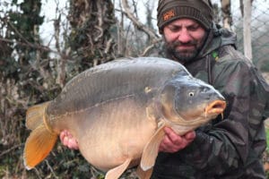 Man holding large mirror carp fish outdoors.